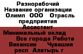 Разнорабочий › Название организации ­ Олимп, ООО › Отрасль предприятия ­ Ассистент › Минимальный оклад ­ 25 000 - Все города Работа » Вакансии   . Чувашия респ.,Алатырь г.